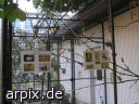 aviary bird cage sign unknown zoo agapornis