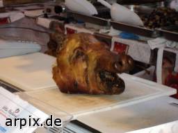 schwein leiche leiche säugetier schwein tierqualprodukt fleisch