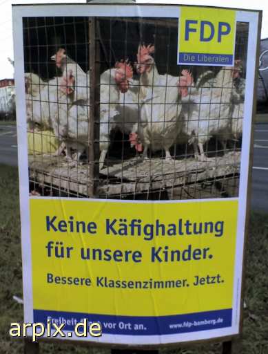 animal rights election poster fdp liberal party germany object cage sign bird chicken  hen 