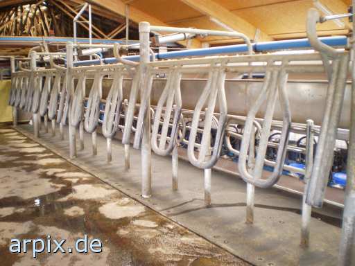 animal rights milking system object  