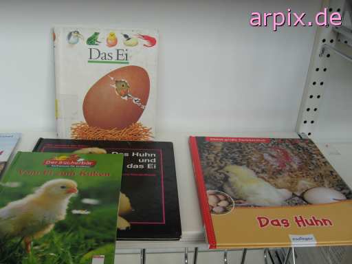 animal rights objekt buchbücher aufzucht des nachwuchs tierqualprodukt ei vogel küken  eier vögel kücken 