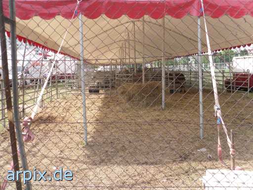 animal rights stall unterstand pferd zirkus säugetier  ställe pferde circus cirkus zircus 