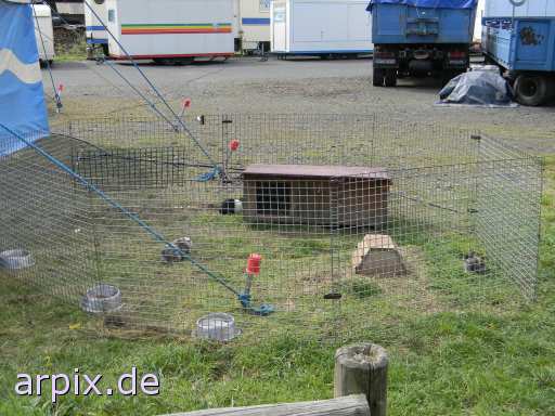 animal rights circus object cage mammal bunny  circu circuse circ show 