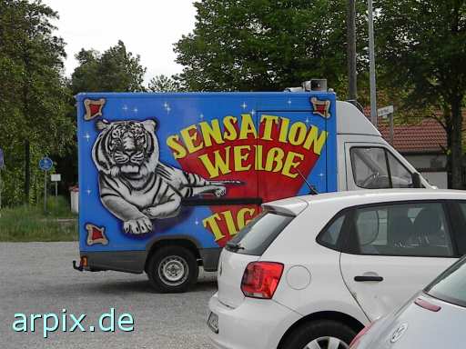 animal rights zirkuswagen zirkus objekt tiger  circus cirkus zircus 
