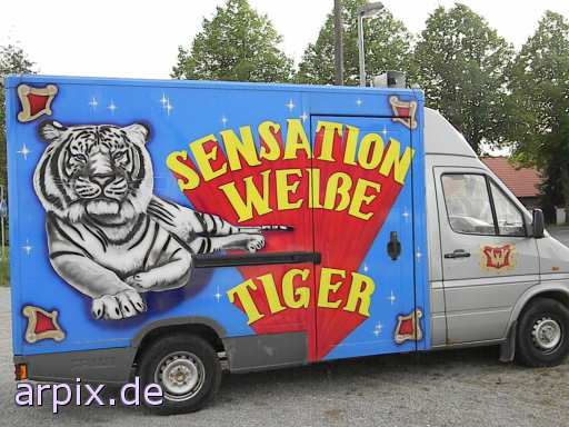 animal rights zirkuswagen zirkus objekt tiger  circus cirkus zircus 