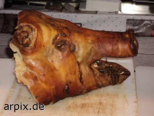 animal rights pig corpse corpse mammal pig animal product flesh  swine hog prok razorback cadaver cadaver swine hog prok razorback 