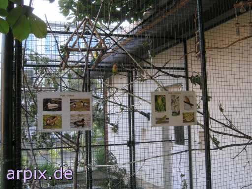 animal rights aviary bird cage sign unknown zoo agapornis  