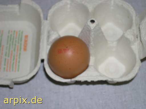 animal rights tierqualprodukt ei  eier 