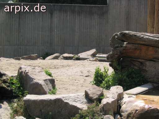 animal rights zoo mammal fox  vulpine 