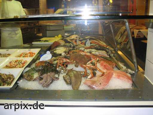 animal rights sea animal sqid craw fish corpse fish  cadaver fishe 