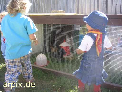 animal rights gazer object cage human bird chicken  voyeur person hen 