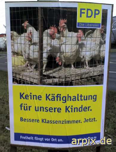 election poster fdp liberal party germany object cage sign bird chicken