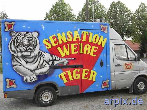 zirkuswagen zirkus objekt tiger