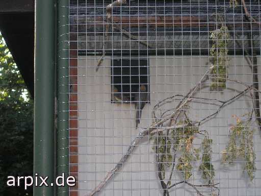 aviary bird cage unknown zoo parakeet