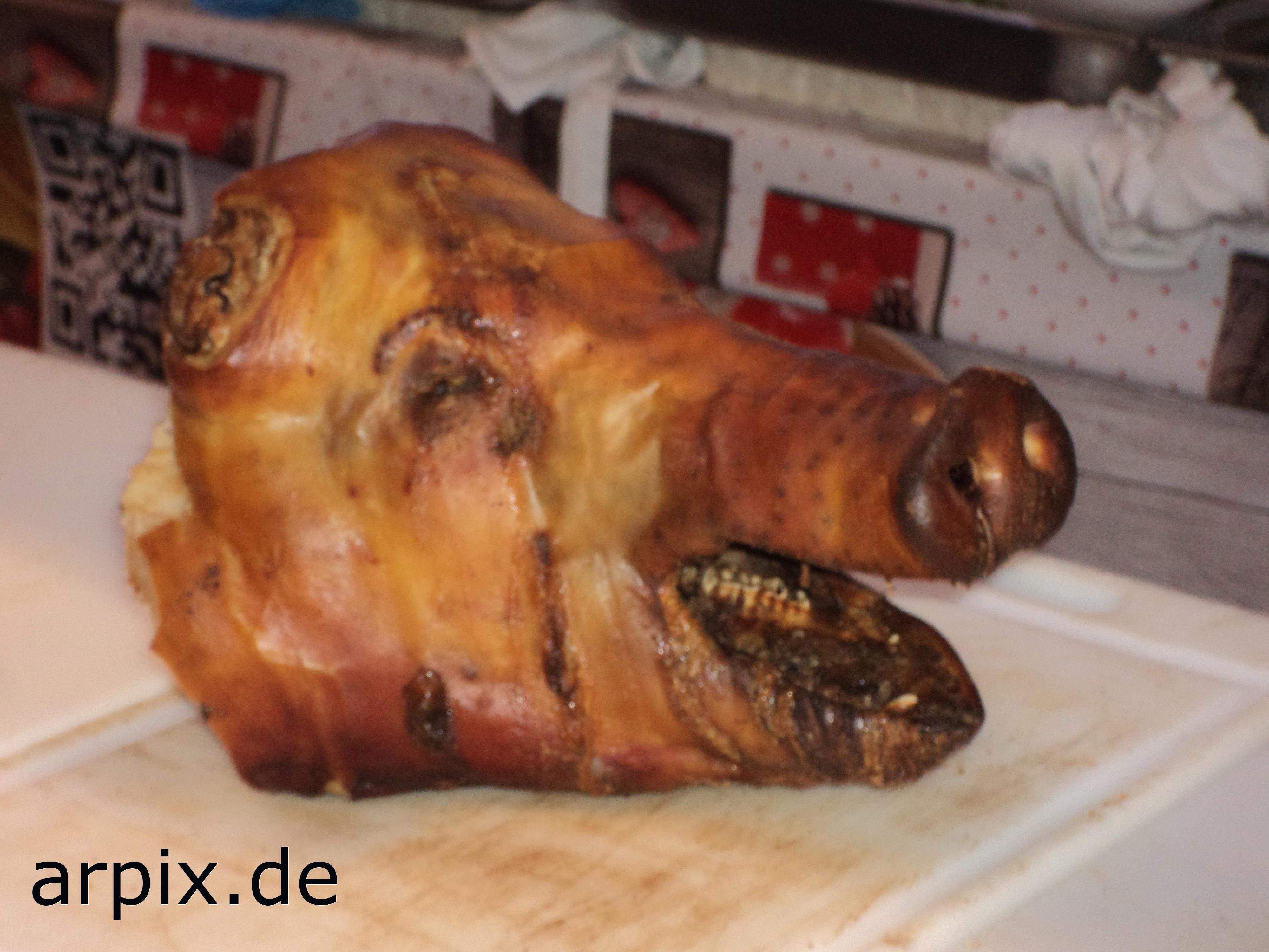 schwein leiche leiche säugetier schwein tierqualprodukt fleisch