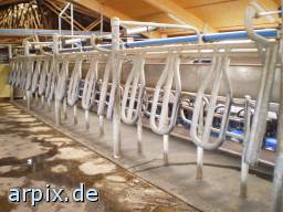 milking system object