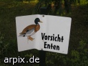  bird duck sign zoo