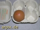 animal product egg