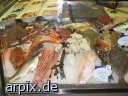sea animal corpse fish