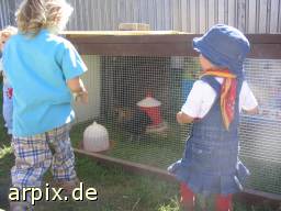 gazer object cage human bird chicken