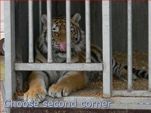 tiger zirkus objekt käfig säugetier