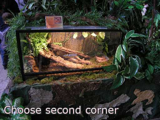 snake reptile cage